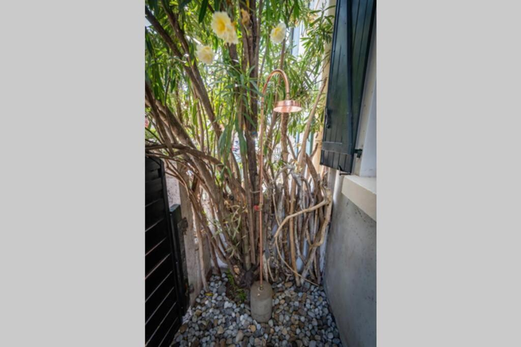 Cote Des Basques, Terrasse, Confort Et Qualite ビアリッツ エクステリア 写真